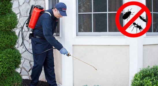 Villakent Hamam Böceği İlaçlama böcek ilaçlama ve haşere kontrolü — ilaclama-tr.com